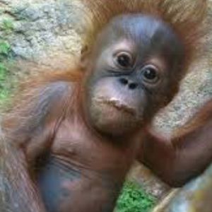 Meet your Posher, Spencer